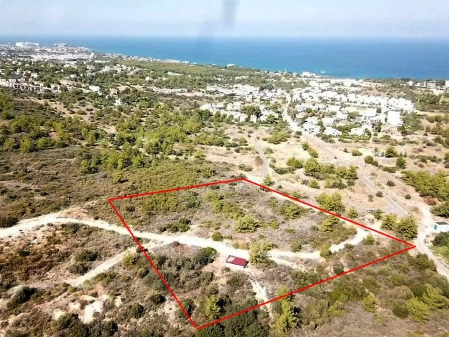 9.5 decare land with mountain and sea views in a high location in Edremit.