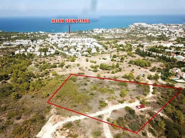 9.5 decare land with mountain and sea views in a high location in Edremit.