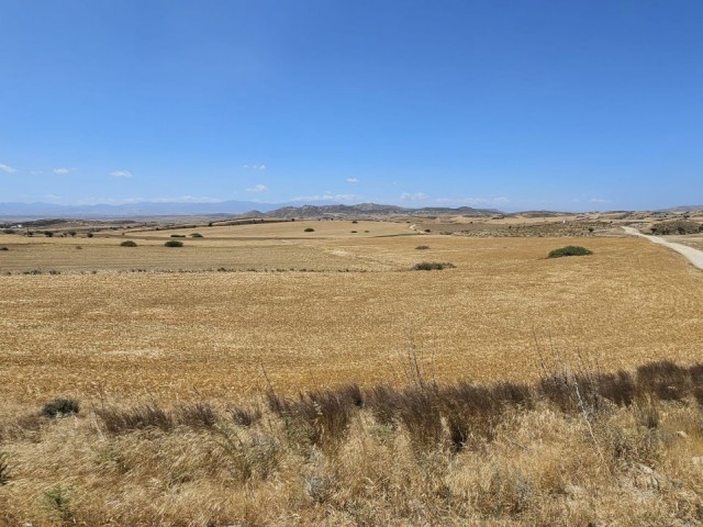 Land for sale in Şirinevler area