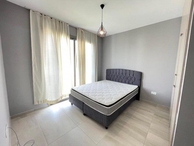 2+1 flat for rent in Zeytinlik Olive branch site