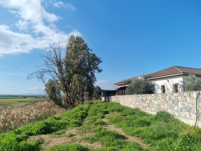 Steinvilla mit besonderem Design in einer ruhigen Lage in der Region Yenikent.  325m2 geschlossene Fläche! 