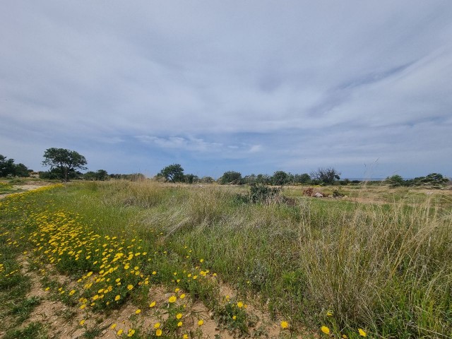 Sea view plots within walking distance to the sea