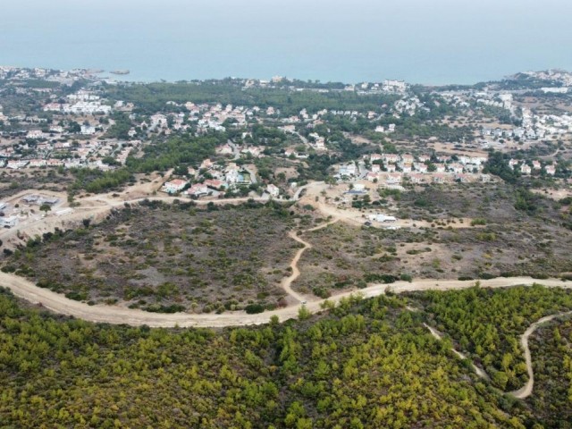 Geeignet für den Bau von Villen in Alsancak hinter Wald Land 6 Hektar Meerblick Land zu verkaufen !!