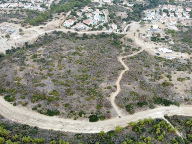 Geeignet für den Bau von Villen in Alsancak hinter Wald Land 6 Hektar Meerblick Land zu verkaufen !!!