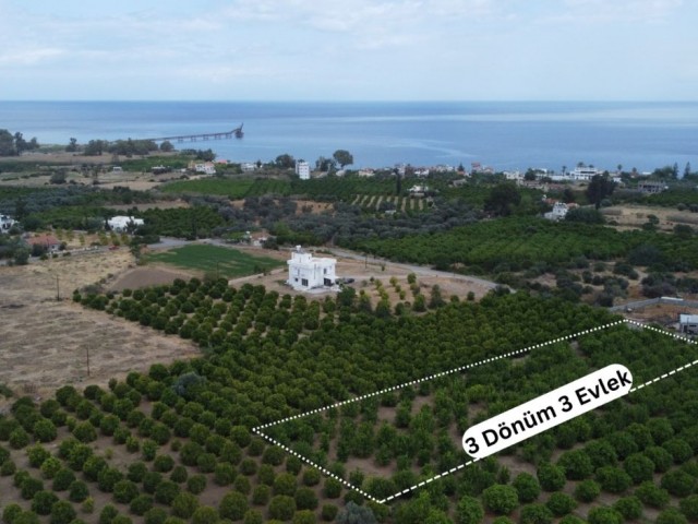 Land for Sale in Lefke Bağlıköy Region!!!