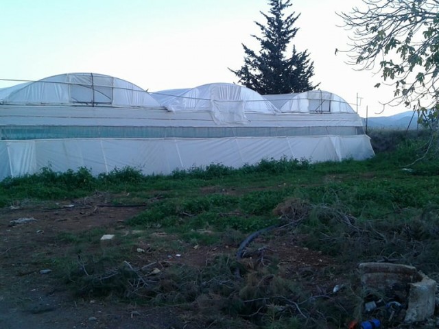 Field For Sale in Güzelyurt Merkez, Guzelyurt