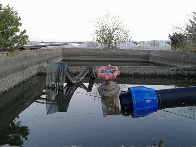 رشته برای فروش in Güzelyurt Merkez, گوزلیورت