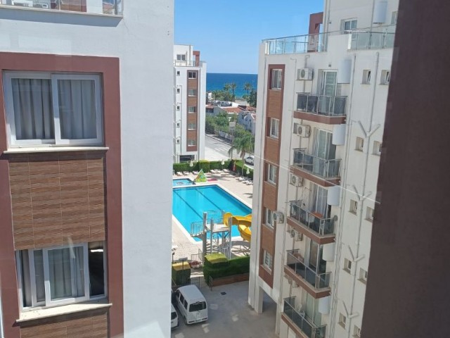 seashell longbeach de lux 1+1 sıfır daire