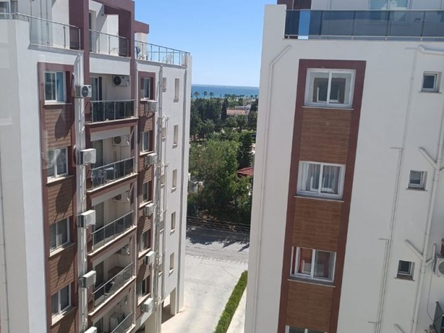 seashell longbeach de lux 1+1 sıfır daire