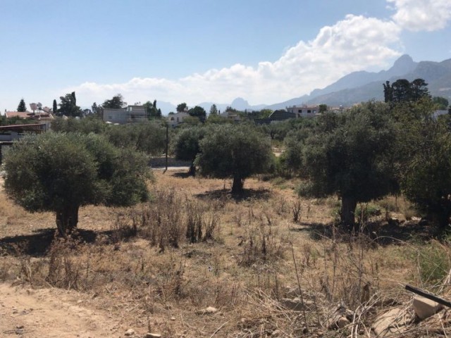 2908m2 Land in Ozankoy - Girne Deeds Ready to Transfer - Exchange LAND Ref: OY537L