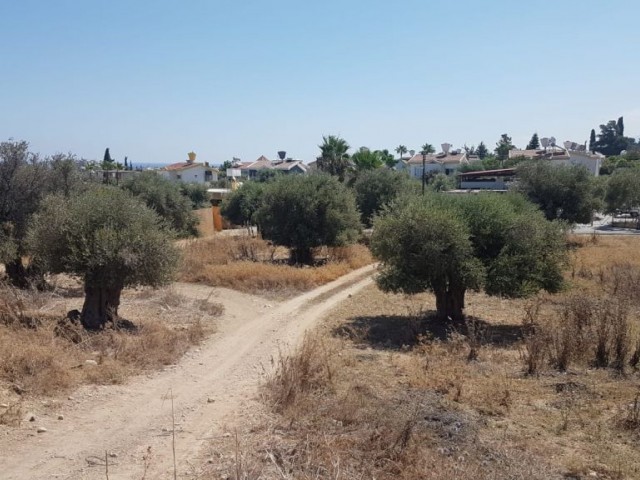 2908m2 Land in Ozankoy - Girne Deeds Ready to Transfer - Exchange LAND Ref: OY537L