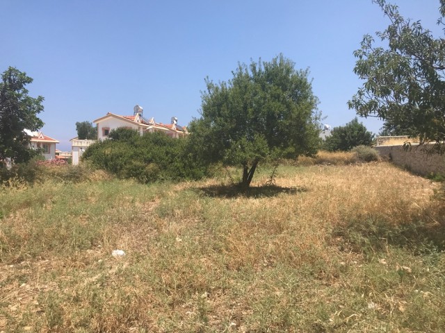 Large plot  8 Dönüm 1 Evlek 700 Ayakkare On Tarmaced Road, GREAT FOR DEVELOPMENT Shops and Homes! Ref: EE580L