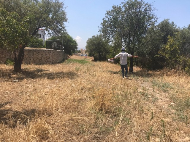 Feld Kaufen in Esentepe, Kyrenia