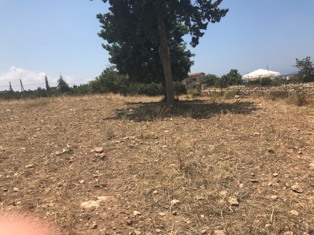 Large plot  8 Dönüm 1 Evlek 700 Ayakkare On Tarmaced Road, GREAT FOR DEVELOPMENT Shops and Homes! Ref: EE580L