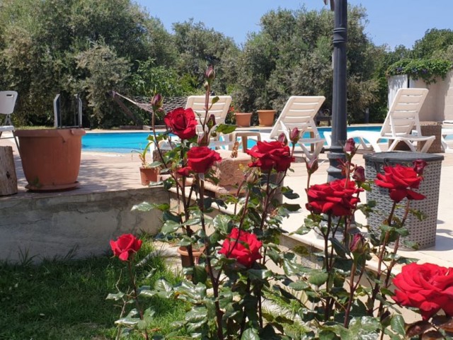 Ультра роскошная, меблированная и великолепно красивая ВИЛЛА с бассейном на ПРОДАЖУ в Доганкой, Кирения