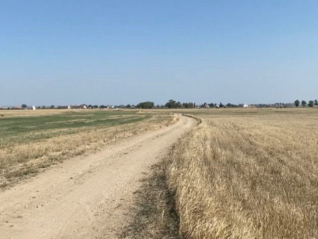 Дек: Я не могу сказать, что это было так, но я не могу сказать, что это было так. ** 