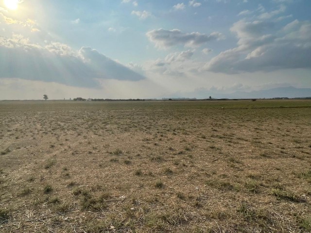 For Sale by Owner - 11.154 m2 Field in Gaziköy, Nicosia