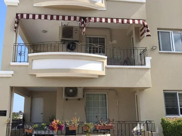 Fully Furnished Spacious 3+1 Flat in a Complex with Pool