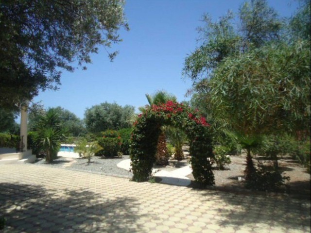 DO NOT MISS THIS OPPORTUNITY --- AMAZING Villa for the Price of 1400m2 Land -