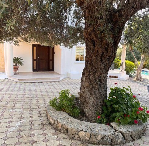 DO NOT MISS THIS OPPORTUNITY --- AMAZING Villa for the Price of 1400m2 Land -