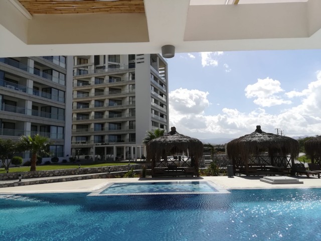 1+1 fully furnished luxury apartment in Lefke gaziveren region