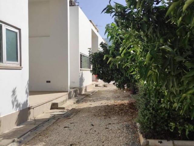 8 Bungalow Houses for Sale on Turkish Coated Land in Kyrenia Olive Grove, Cyprus.