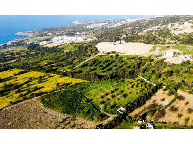 READY PARCELS FOR SALE ABOVE THE BEACH IN ESENTEPE / INFRASTRUCTURE IS READY AND ASPHALT IS PILLED / EACH PLOT SEPARATE DEED / 700mt TO THE SEA !!!