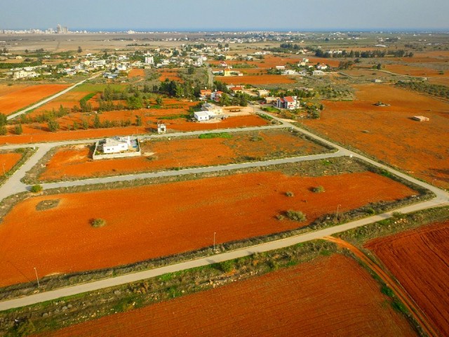 Kuzucuk' da Türk Koçanlı Arsalar