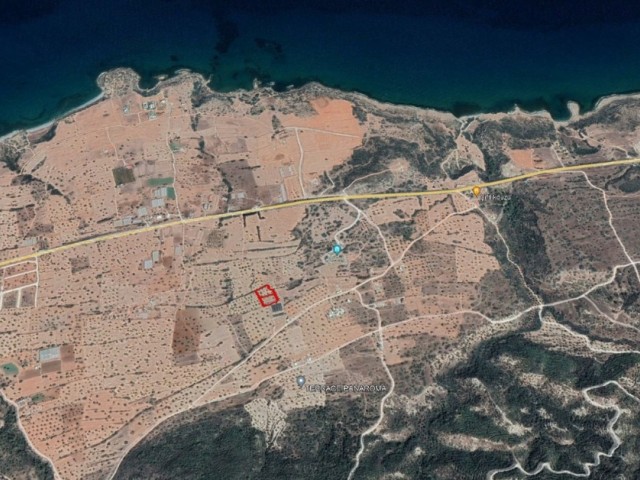 3 acres of 1 evlak land for sale in Tatlısu