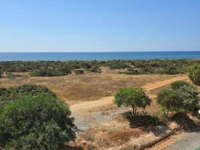 1+1 Apartment mit Meerblick