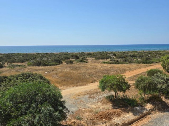 1+1 Apartment with Sea View