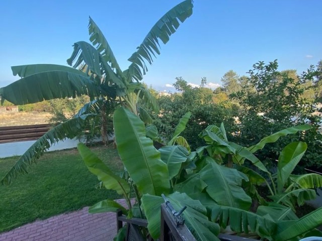 Villa zu vermieten mit Berg- und Meerblick in Ozanköy, Kyrenia