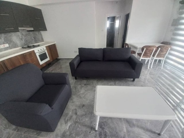 Luxury 2+1 for rent close to city mall