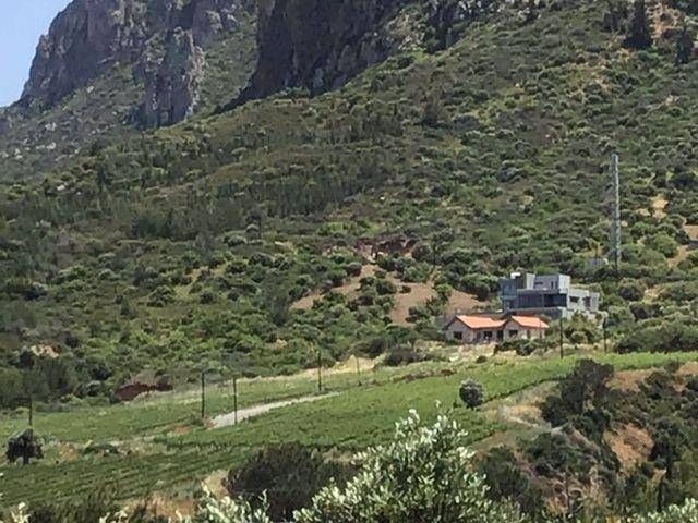 Ein seltenes 3-Dekaden-Land rund um Gillham Vineyard mit spektakulärem Meerblick auf das seltene Mittelmeer und seine Bergkette in Ilgaz