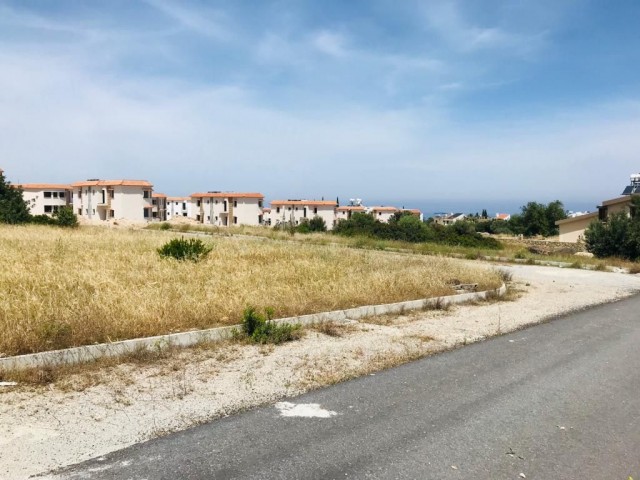 Privates Grundstück mit 2 Dònum-, Evlek-, Berg- und unverschließbarem Meerblick in Çatalköy, in bevorzugter Lage in der Nähe des berühmten Olive Tree Hotels