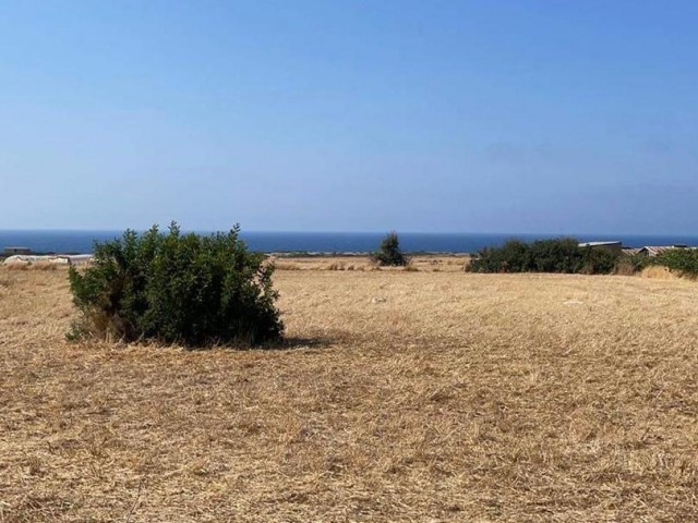 3.5 acres of land for sale in TATLISU.