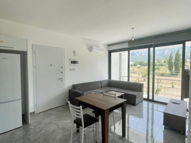 Fully furnished 1+1 in karaoglanoglu