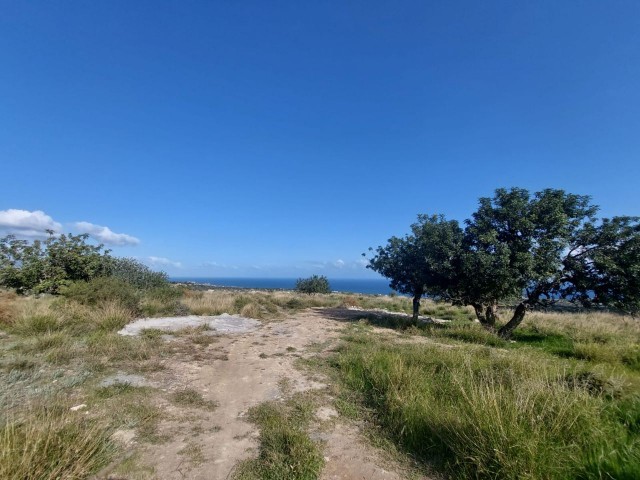 Grundstücke zu verkaufen in Arapköy, Kyrenia mit herrlichem Blick