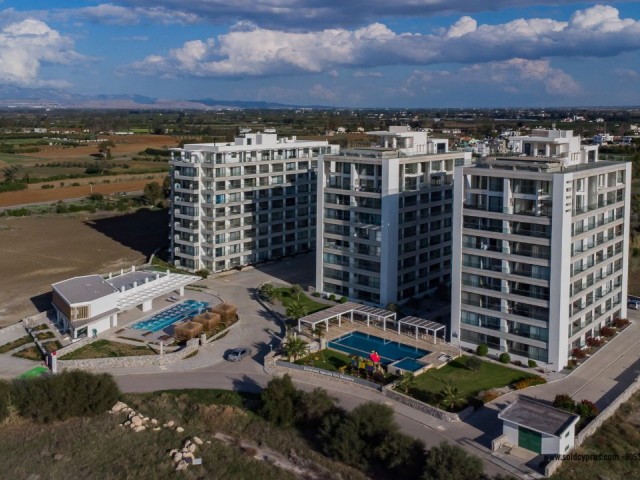 Studio Apartment in Gaziveren, Lefke, North Cyprus - SPECIAL OFFER