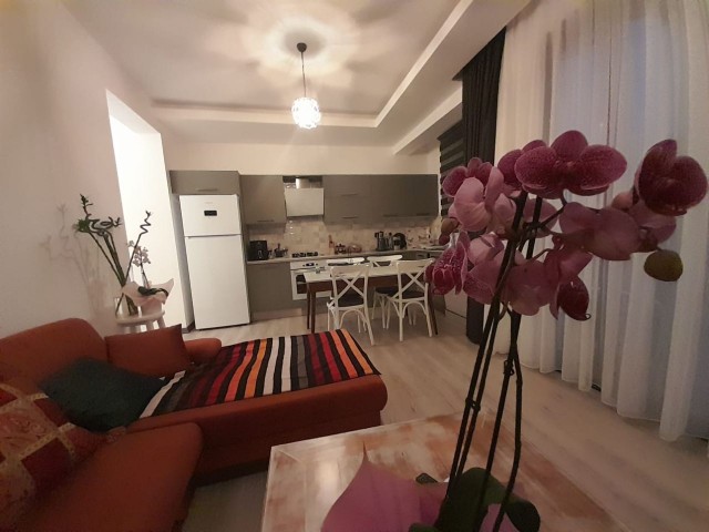 Magnificent 2+1 flat, fully furnished, ready to move in Ozanköy