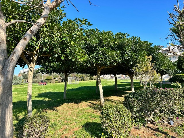 3+1 Ferienhaus mit Meerblick zum Verkauf in Bafra