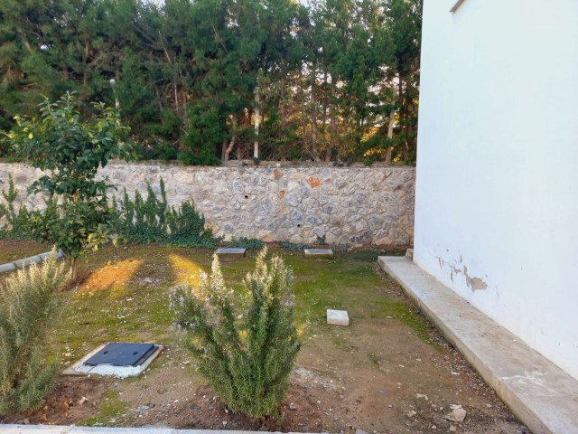 تخت برای اجاره in Girne Merkez, گیرنه