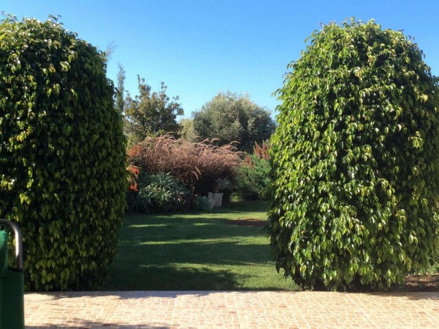 ویلا برای فروش in Alsancak, گیرنه