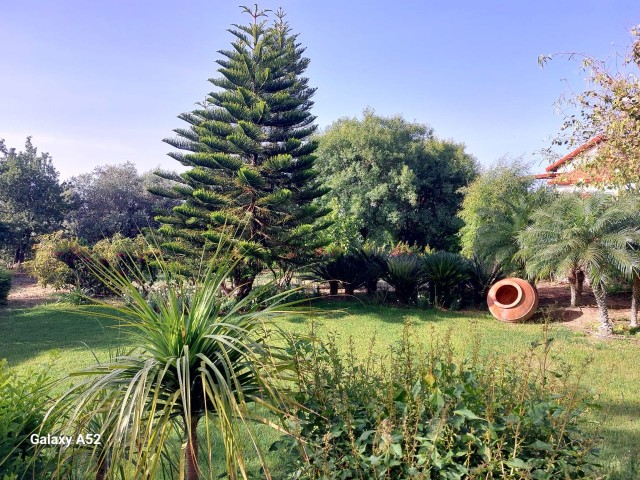 ویلا برای فروش in Alsancak, گیرنه