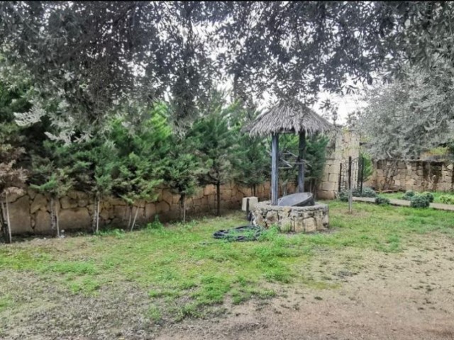 ویلا برای اجاره in Lapta, گیرنه