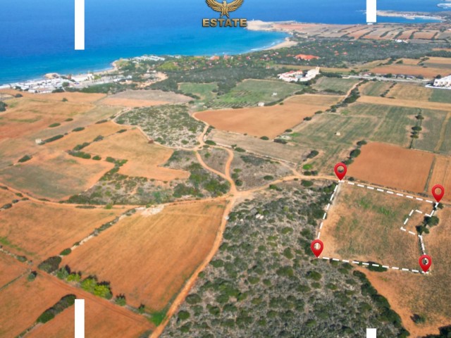 TOTAL 6,127 SQUARE METERS OF LAND FOR SALE IN YENIERENKOY  £80,000 PER DONUM