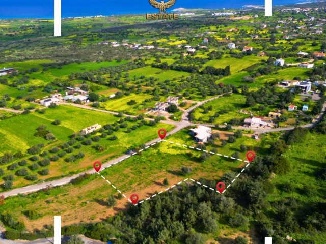 FOR SALE 3,750 SQUARE METER LAND IN YENİ ERENKÖY