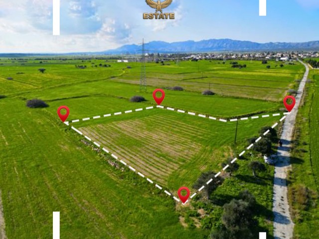 IN GEÇİTKALE A TOTAL OF 2.776 SQUARE METERS (2 DONUMS 1.076 SQUARE FEET) OF LAND IS AVAILABLE AT £35,000 PER DONUM