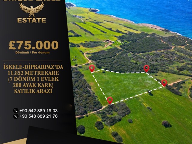 FOR SALE 11,852 SQUARE METERS (7 DONUMS 1 EVLEK 200 SQUARE FEET) LAND IN ISKELE-DİPKARPAZ £75,000 PER DONUM