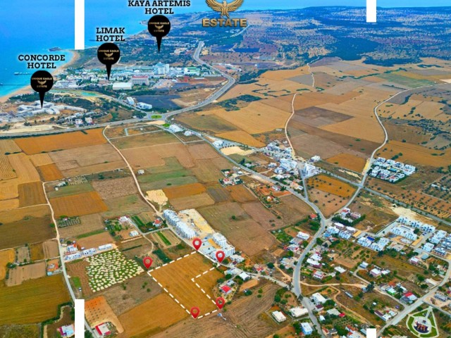 FOR SALE 10,704 SQUARE METER (8 DÖNÜM) LAND IN BAFRA  PRICE PER DONUM DROPPED FROM £65,000 TO £57,000!